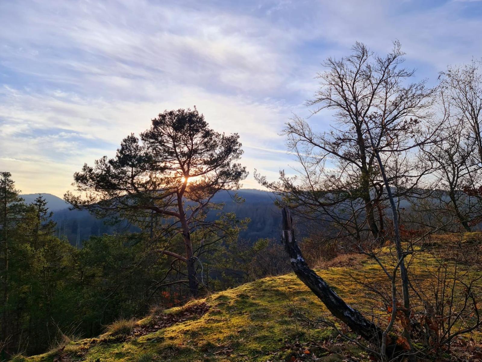 Ferienhaus Schoene Aussicht Ferienwohnung Gruen Hemfurth-Edersee Esterno foto